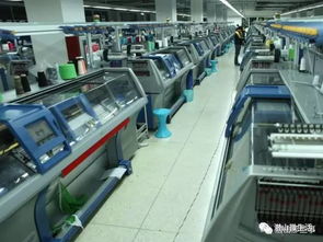 潜山人的记忆 横扇摇衣与计算机软硬件的交织